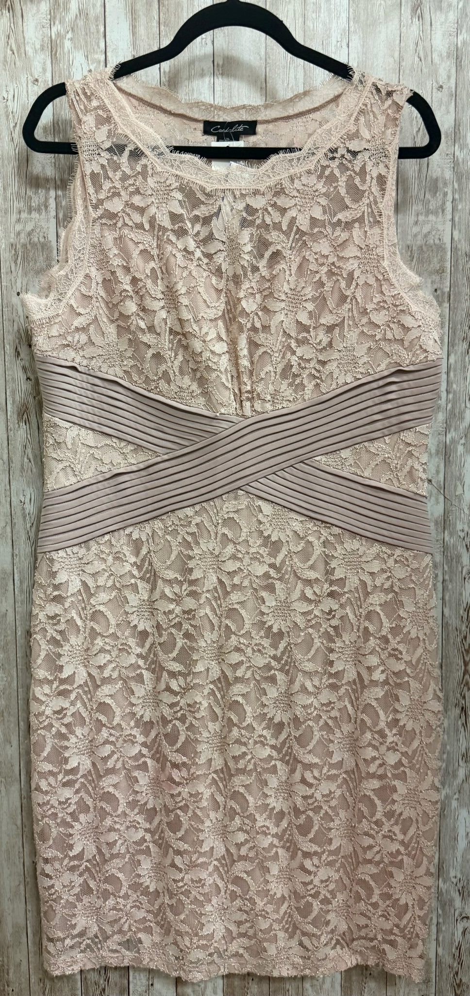 Size XL CANDALITE Blush Dress