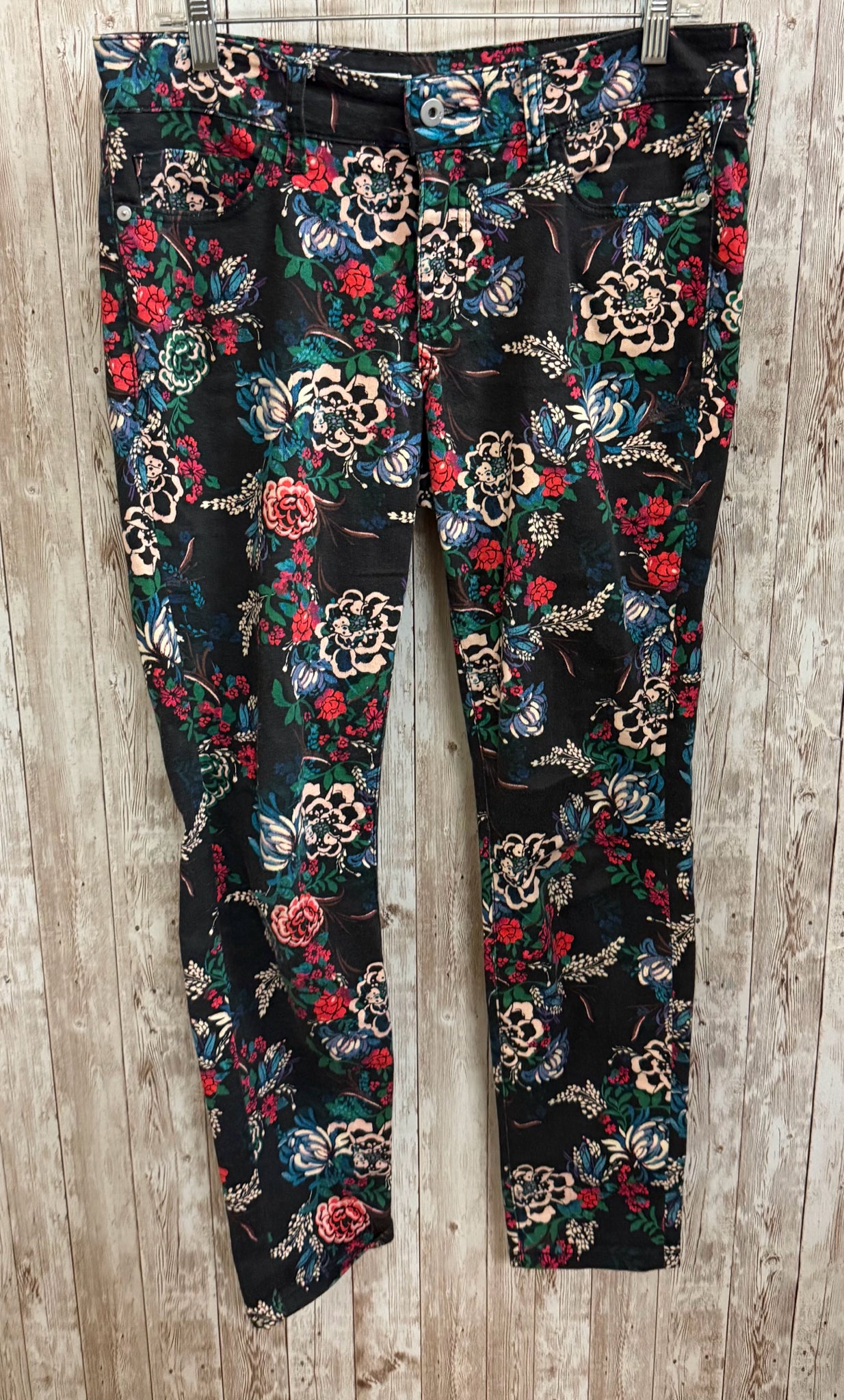 Size 28 PILCRO MULTI FLORAL Pants