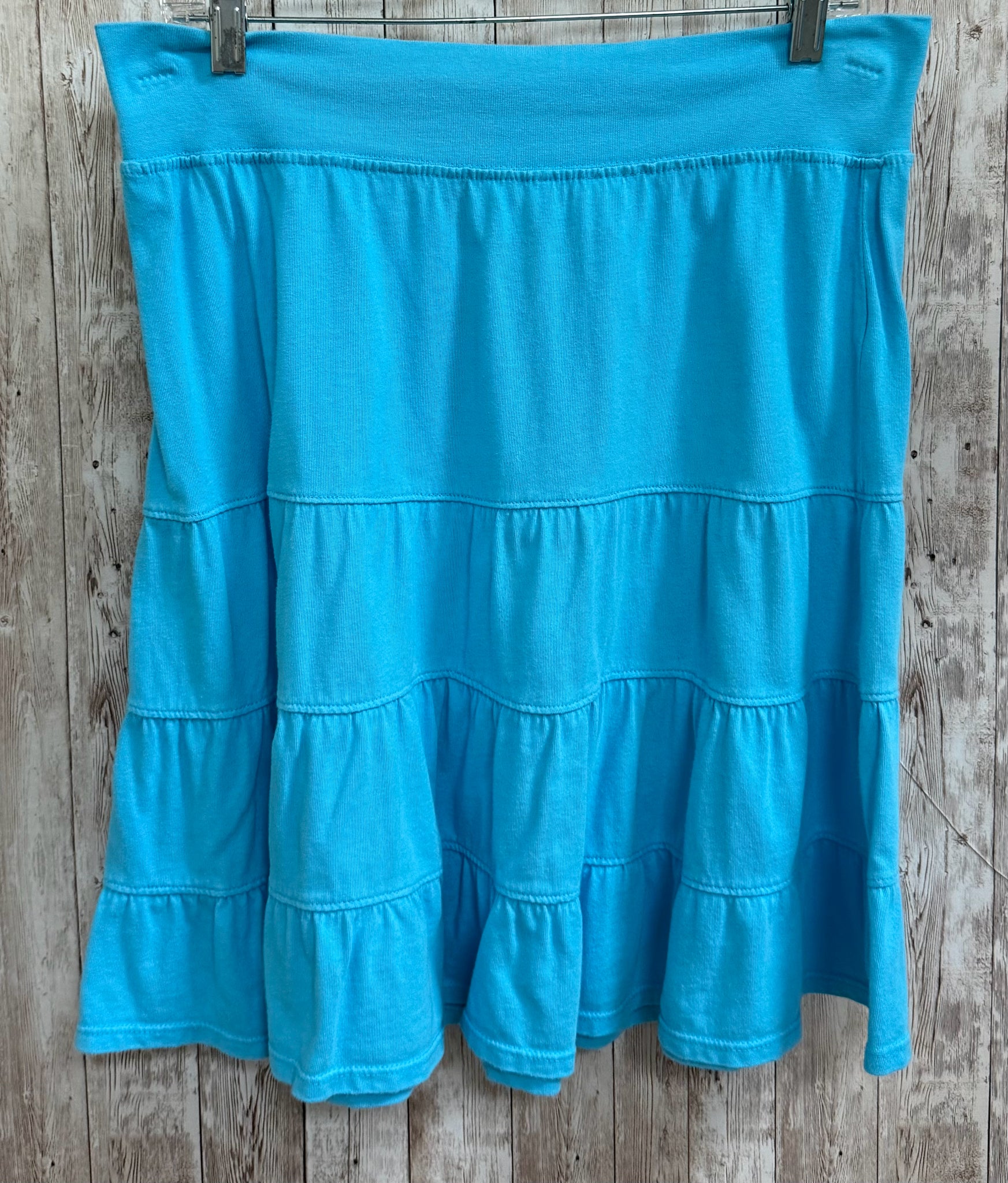 Size M FRESH PRODUCE BLUE STRIPE Skirt