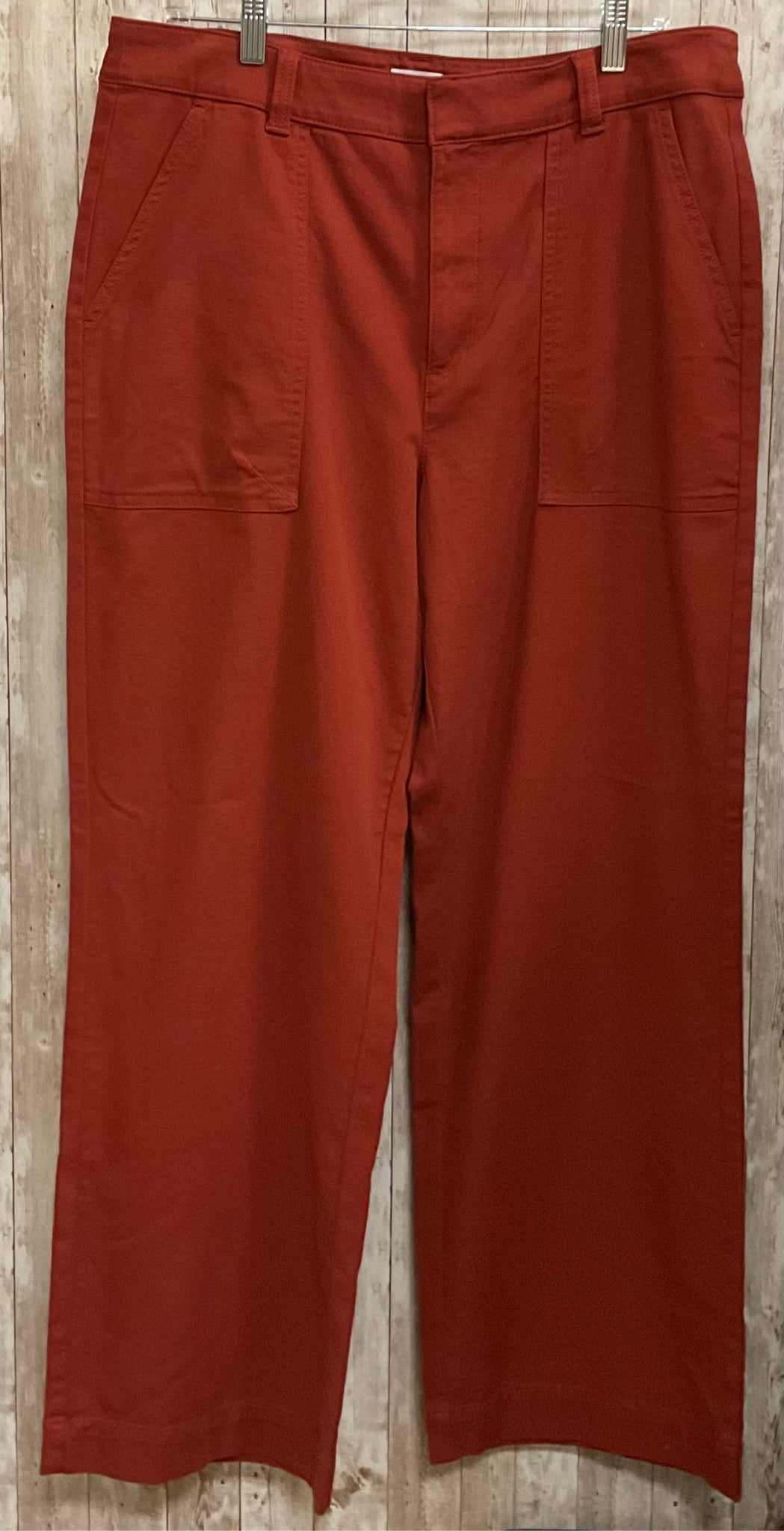 Size 12 LOFT RUST Pants