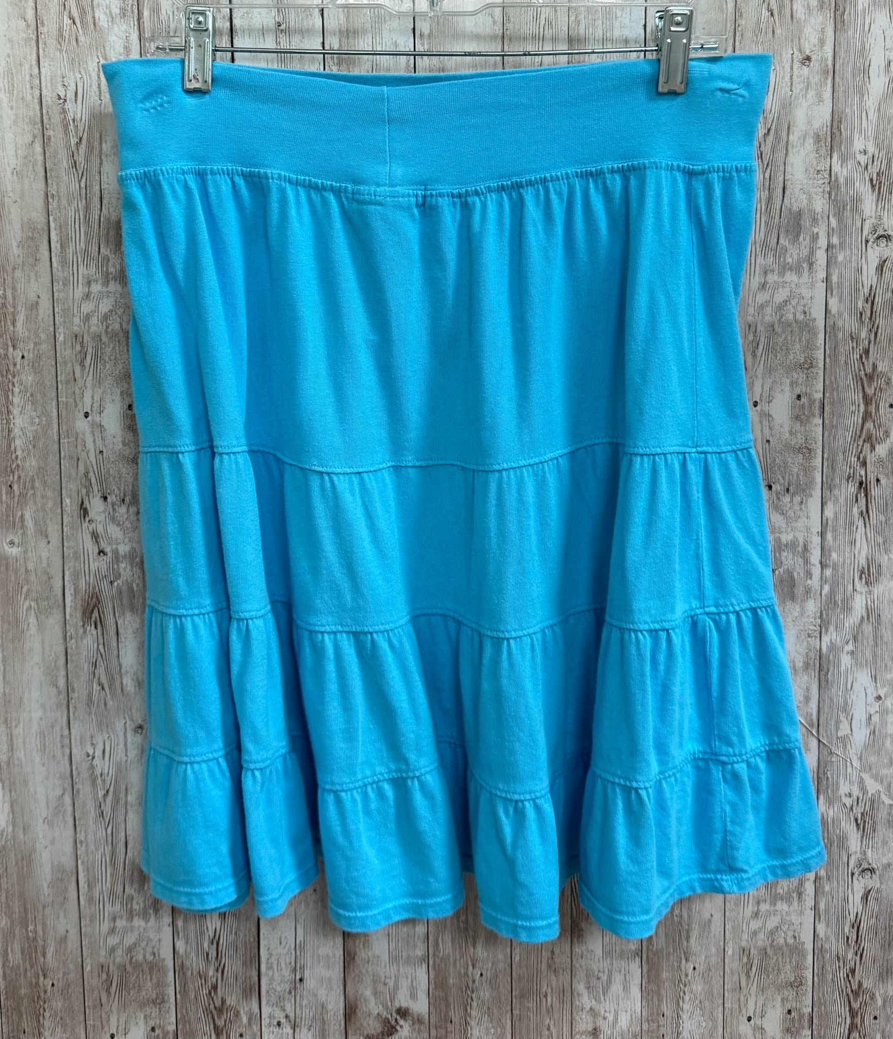 Size M FRESH PRODUCE BLUE STRIPE Skirt