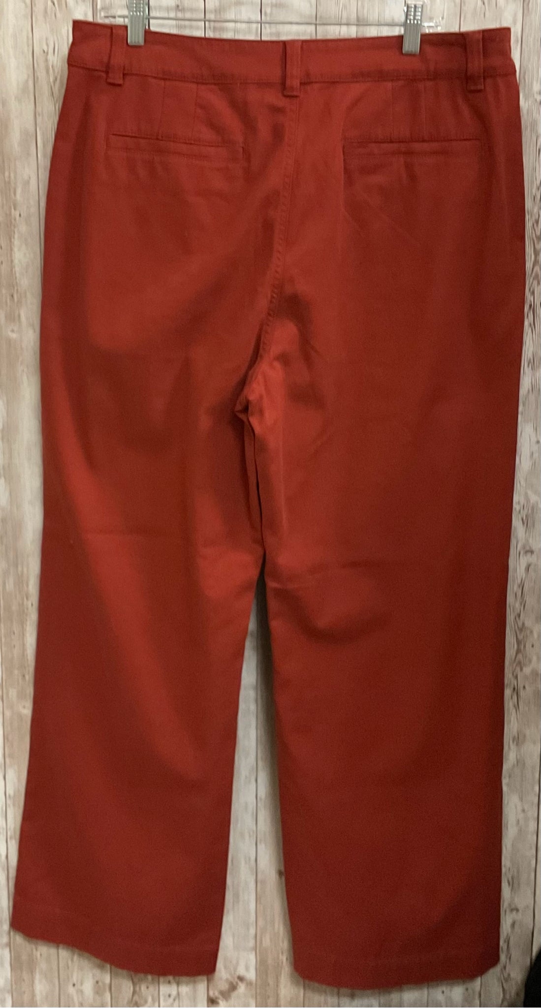 Size 12 LOFT RUST Pants