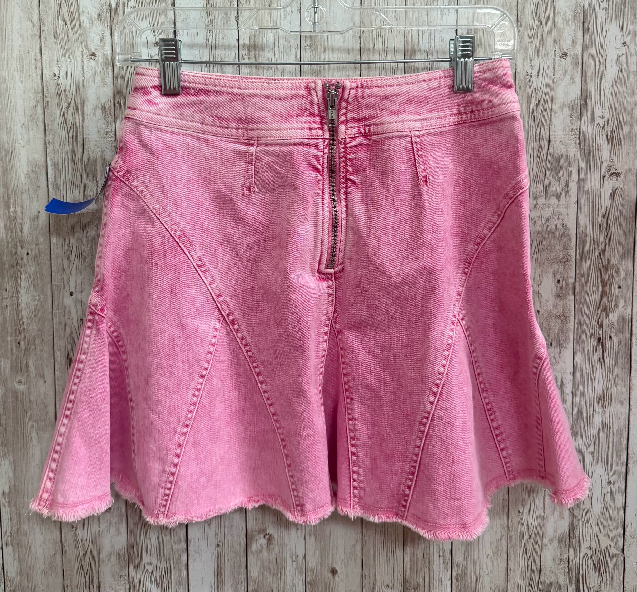 Size 0 PILCRO Pink Skirt