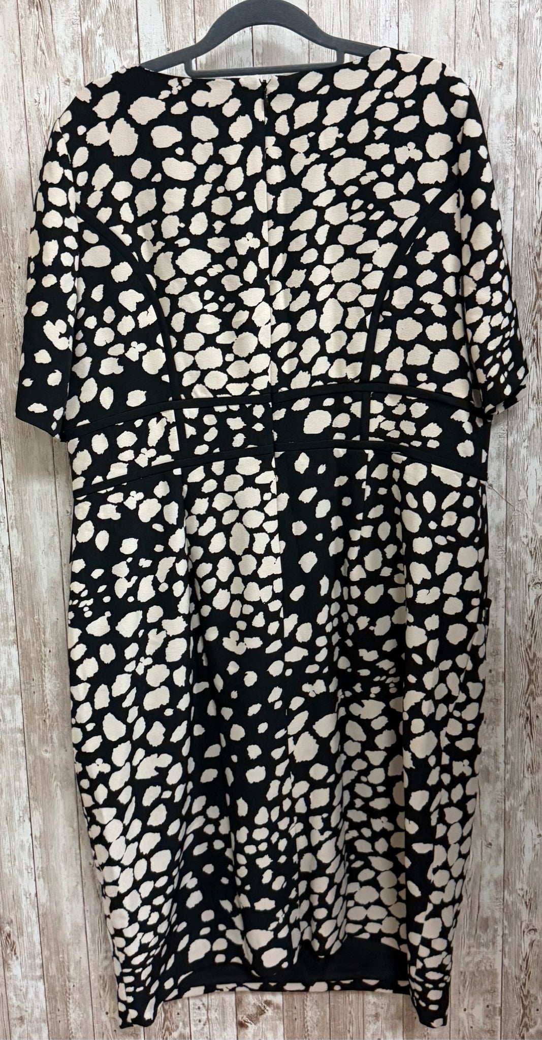 Size 14 ADRIANNA PAPELL BLACK AND TAN Dress