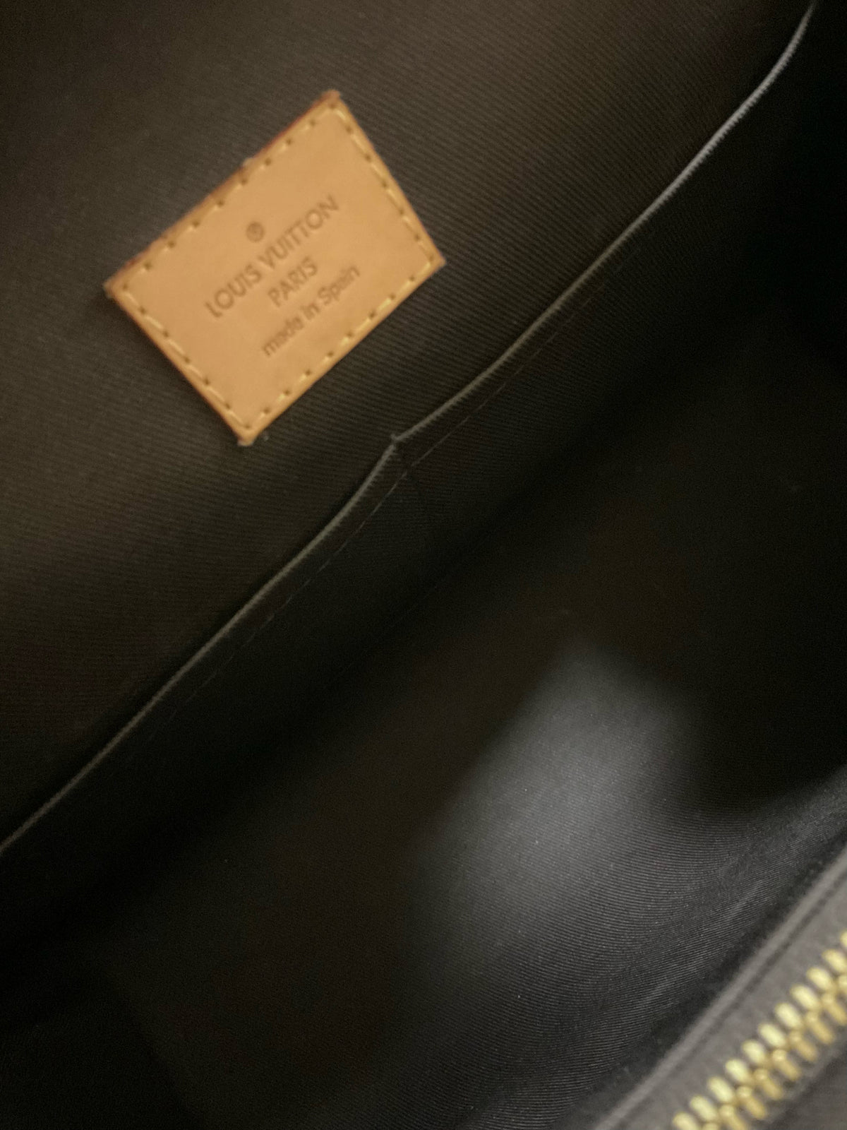LOUIS VUITTON Purse