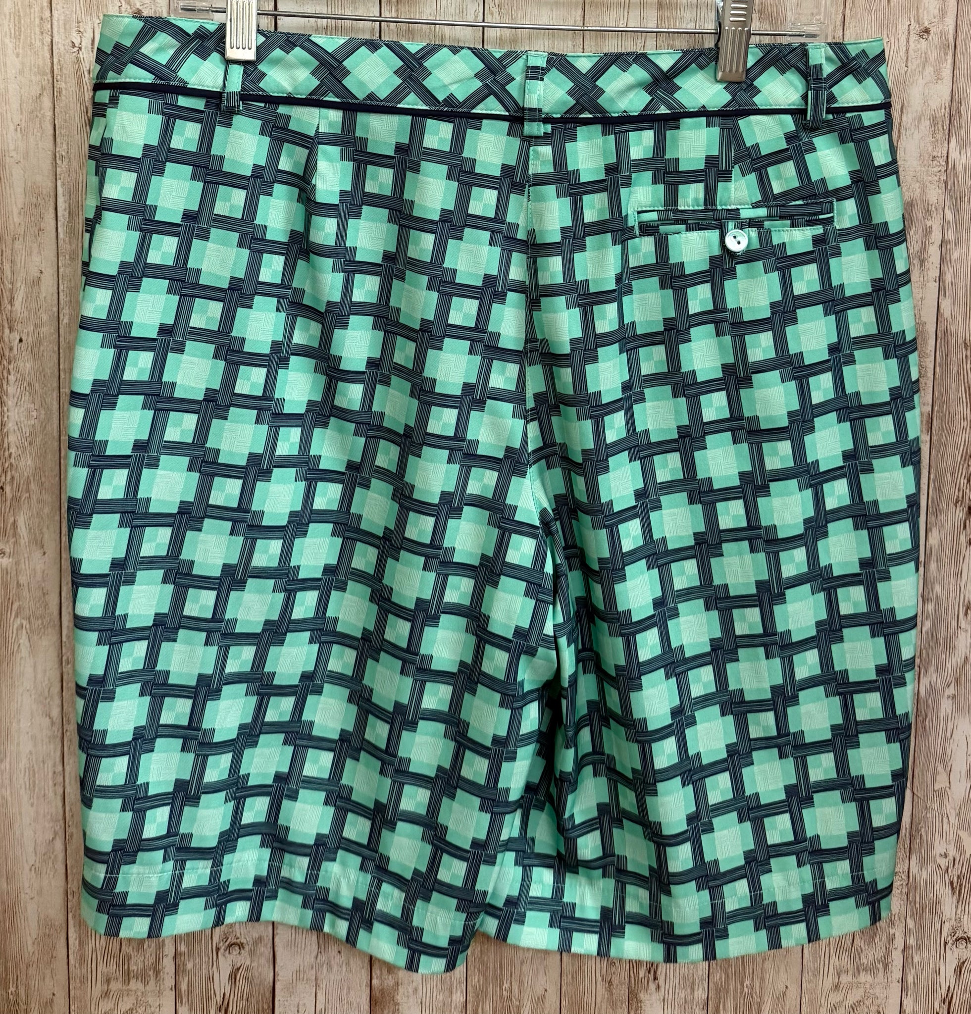 Size 8 LADY HAGEN MINT AND BLUE PRINT Shorts