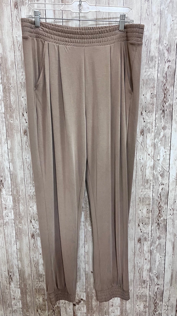 Size L EXPRESS Tan Pants