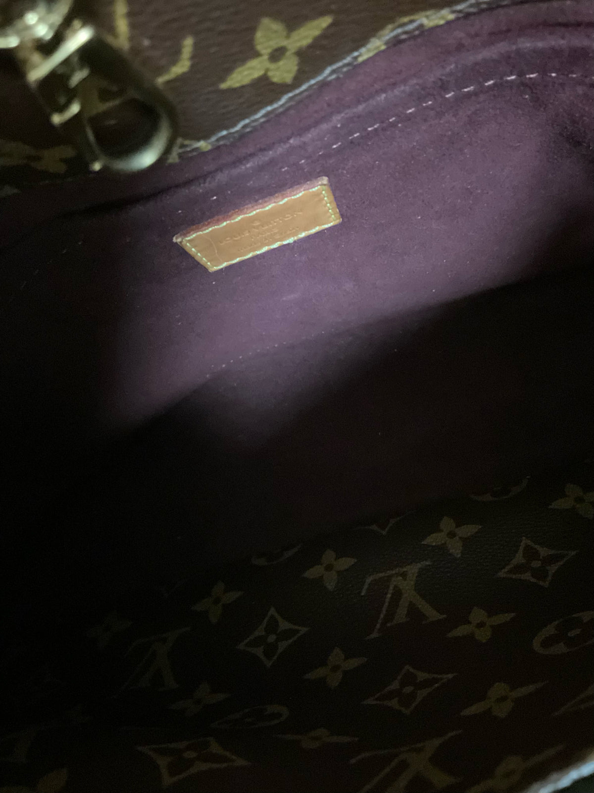LOUIS VUITTON Purse