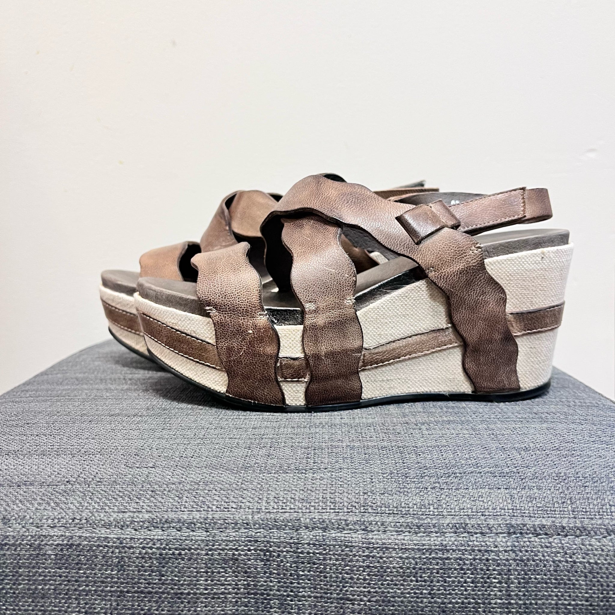 5.5 ANTELOPE Brown Wedges