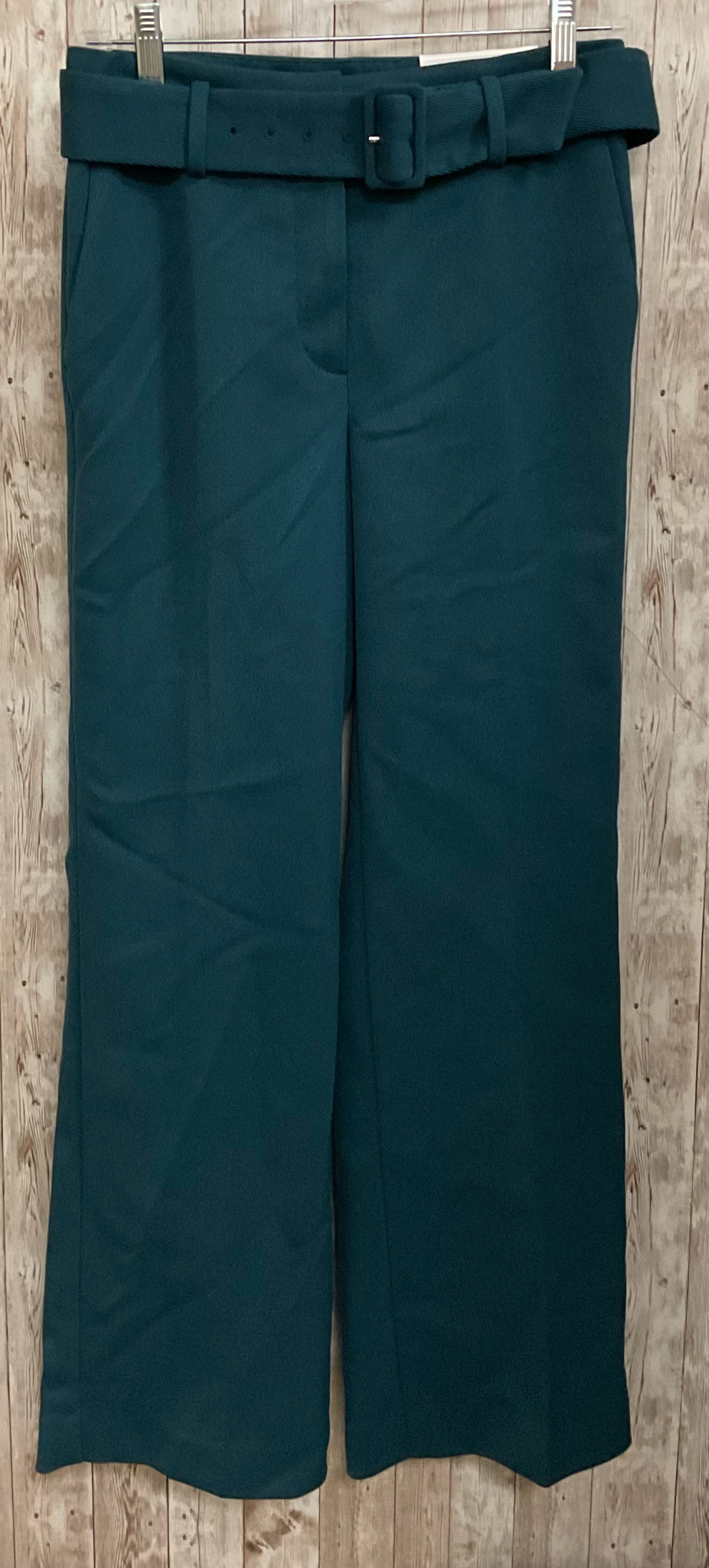 Size 2P ANN TAYLOR Teal Pants