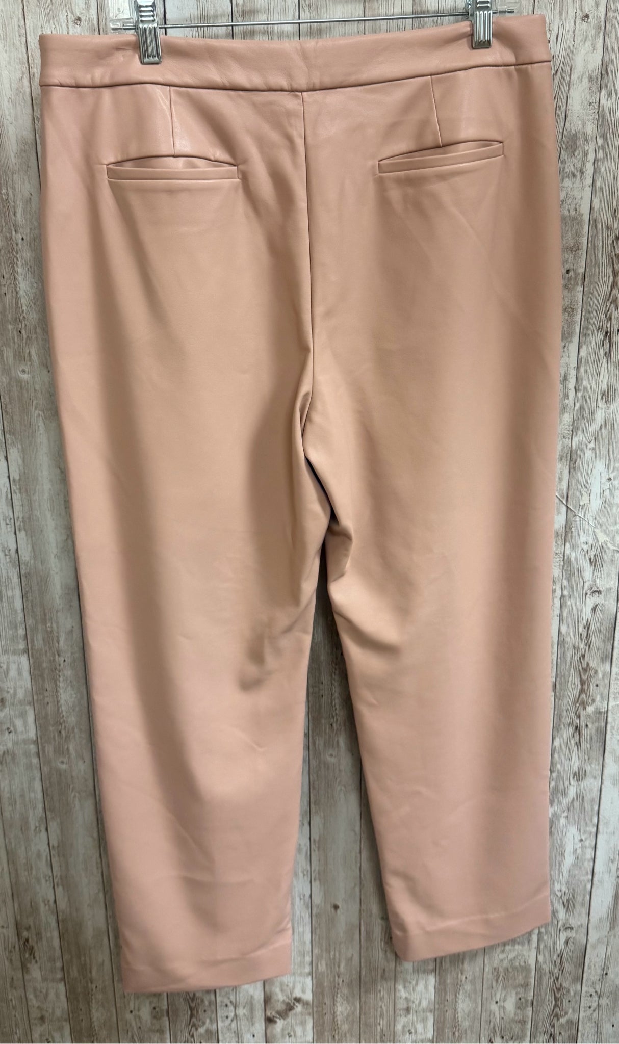 Size 12 J.CREW Blush Pants