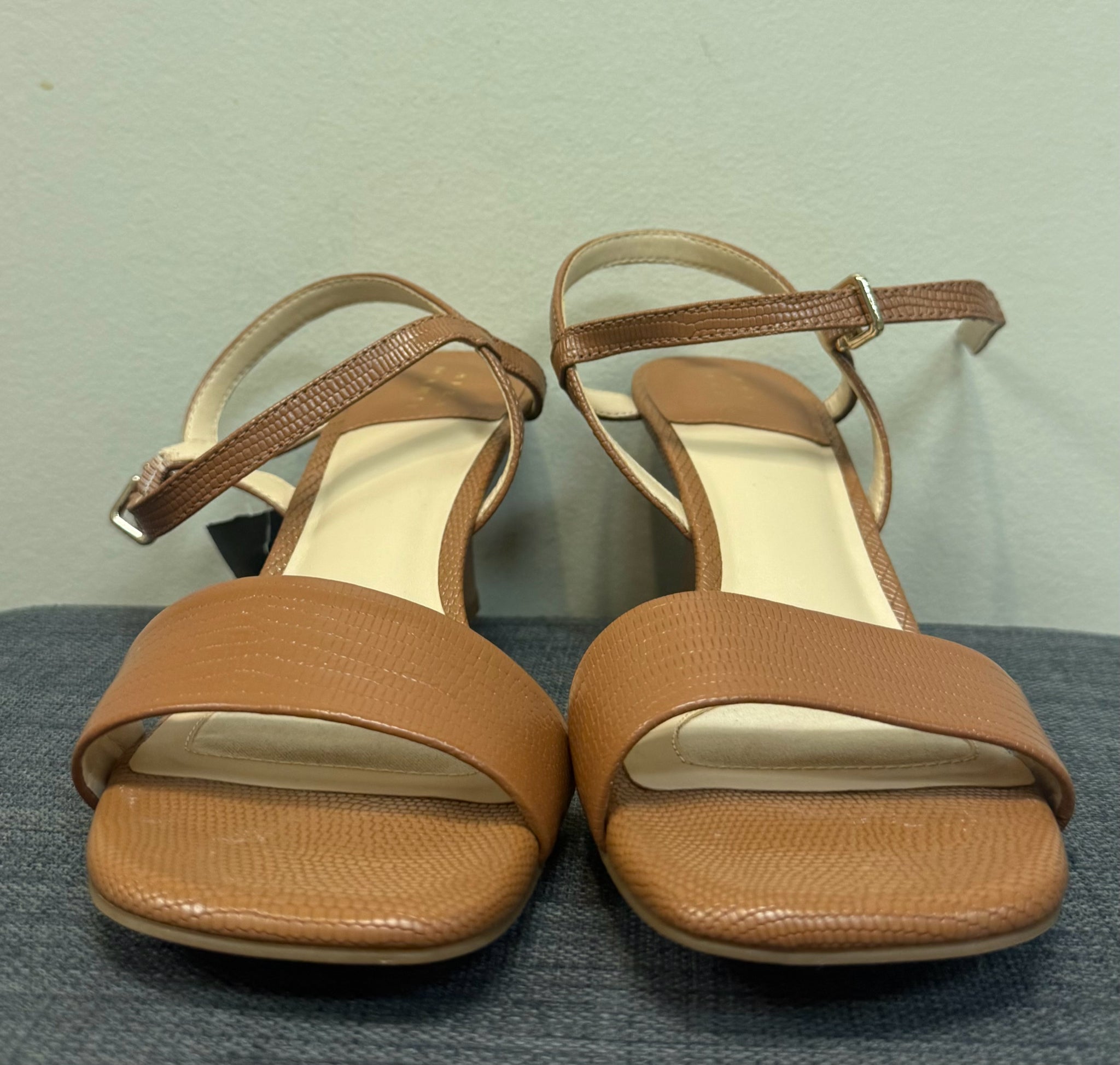 8 ALEX MARIE Brown Sandals