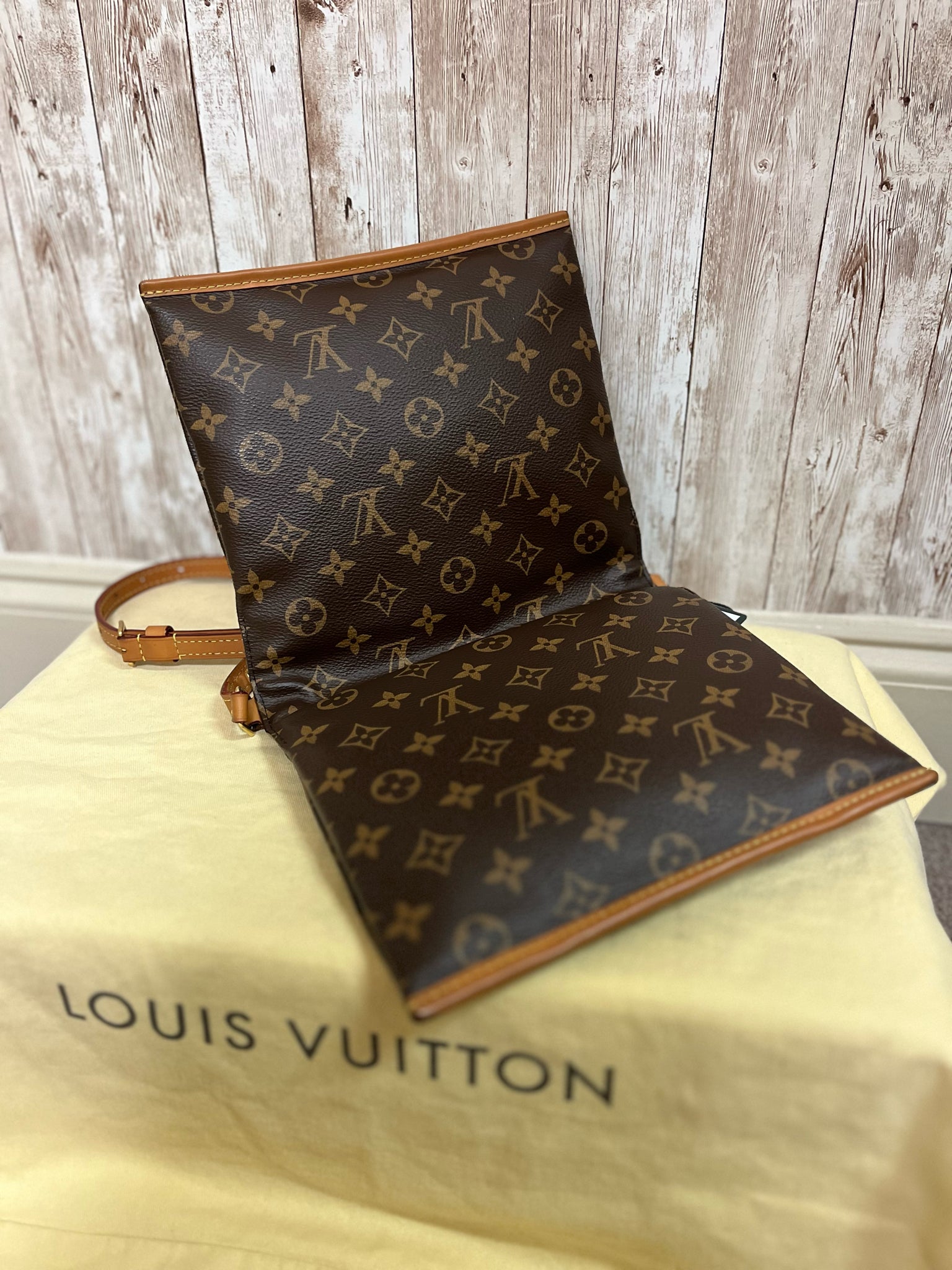 LOUIS VUITTON Purse