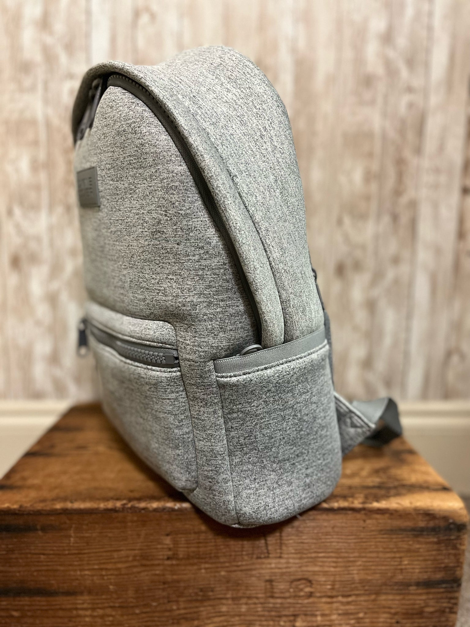 DAGNE DOVER BackPack
