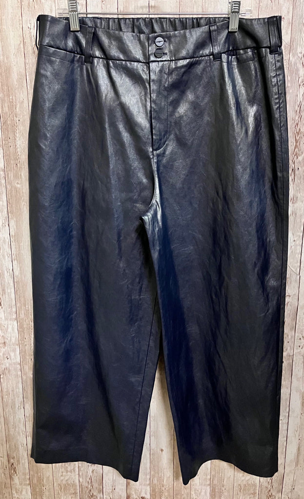 CHICO'S Size 14 NAVY LEATHER Pants