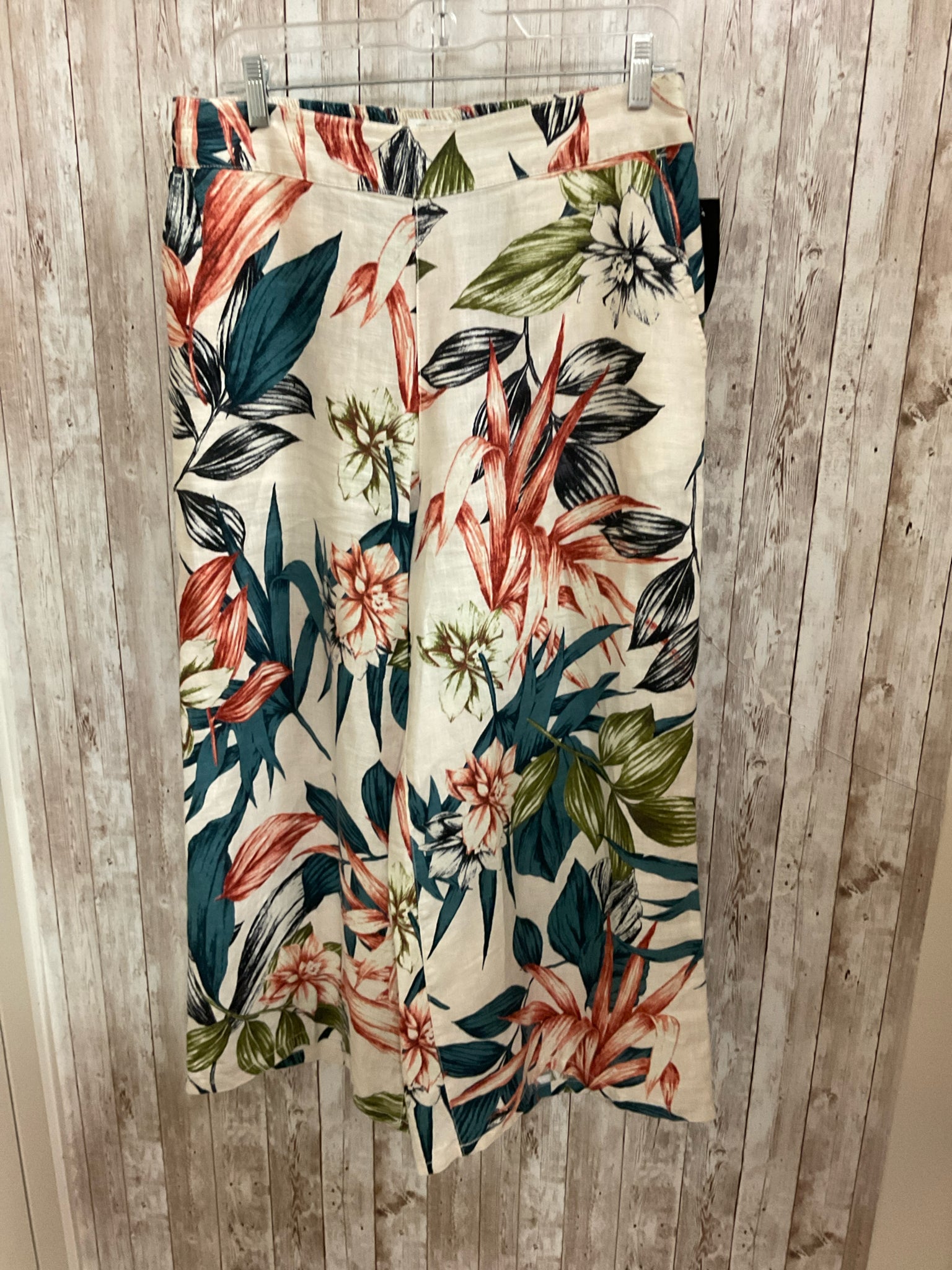 Size L C&C CREAM AND NAVY Pants