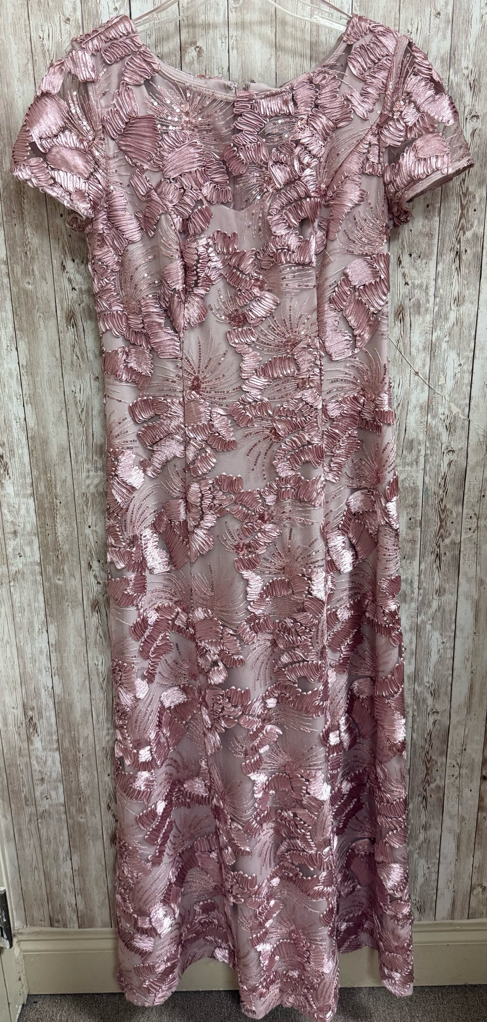 Size 10 ALEX EVENINGS Mauve Dress