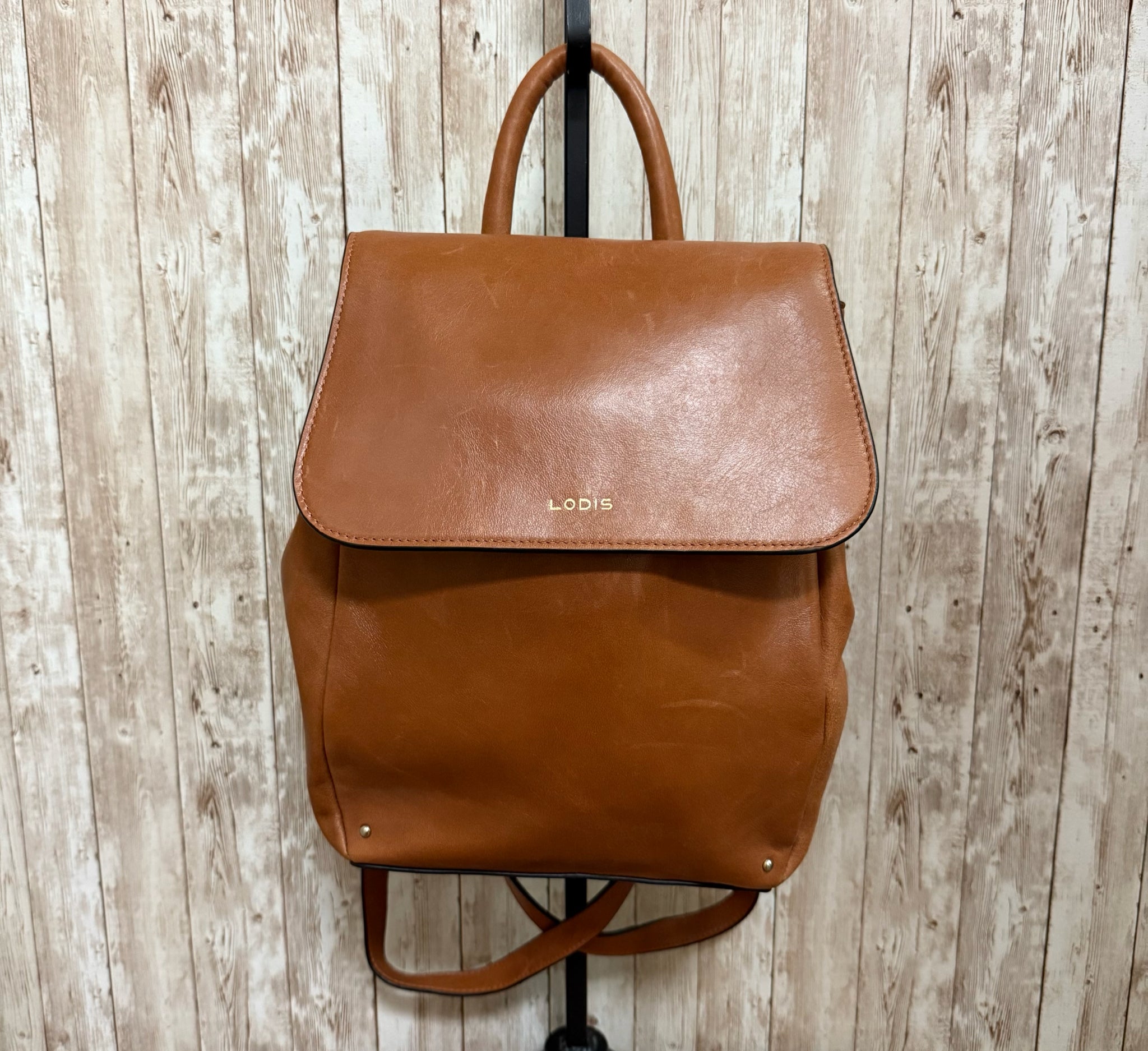 LODIS BackPack
