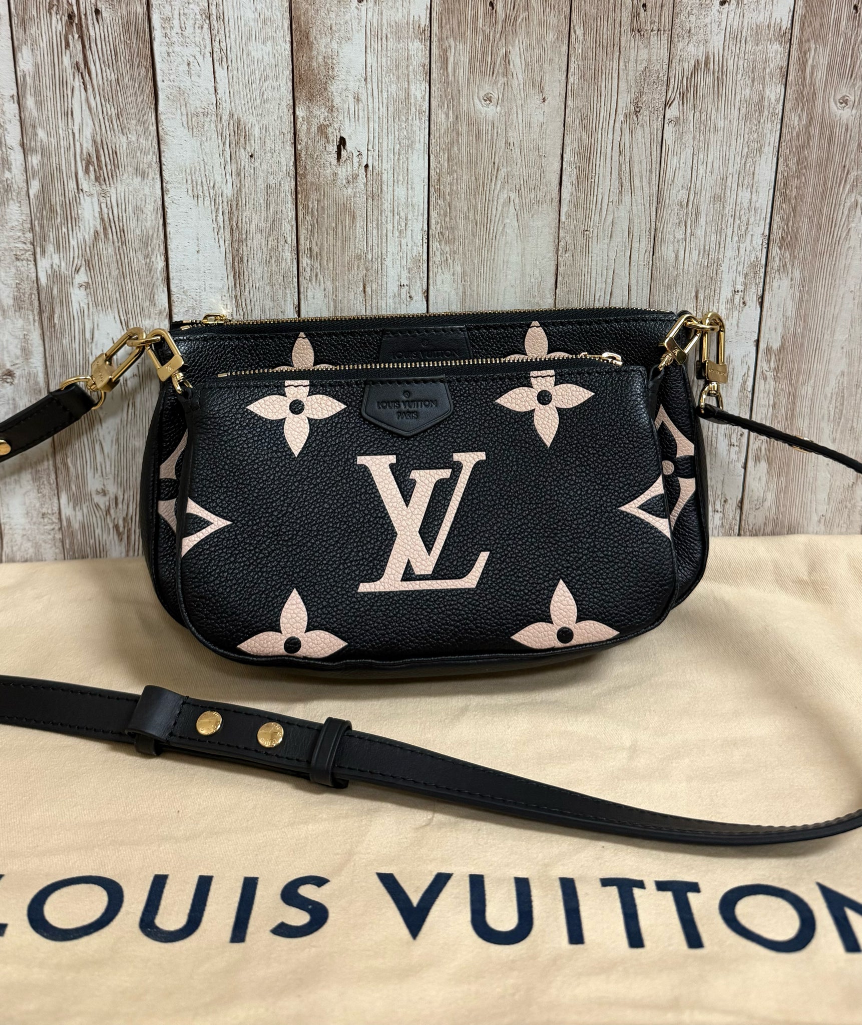 LOUIS VUITTON Purse