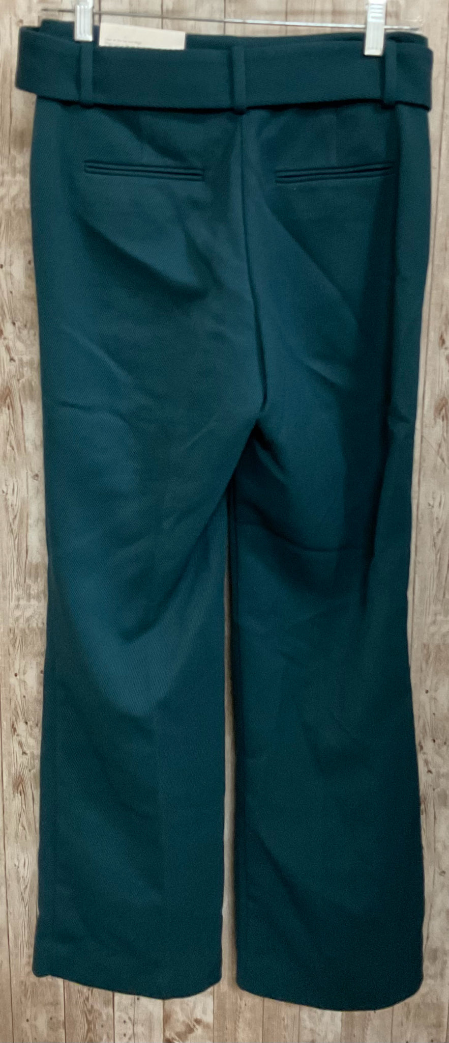 Size 2P ANN TAYLOR Teal Pants