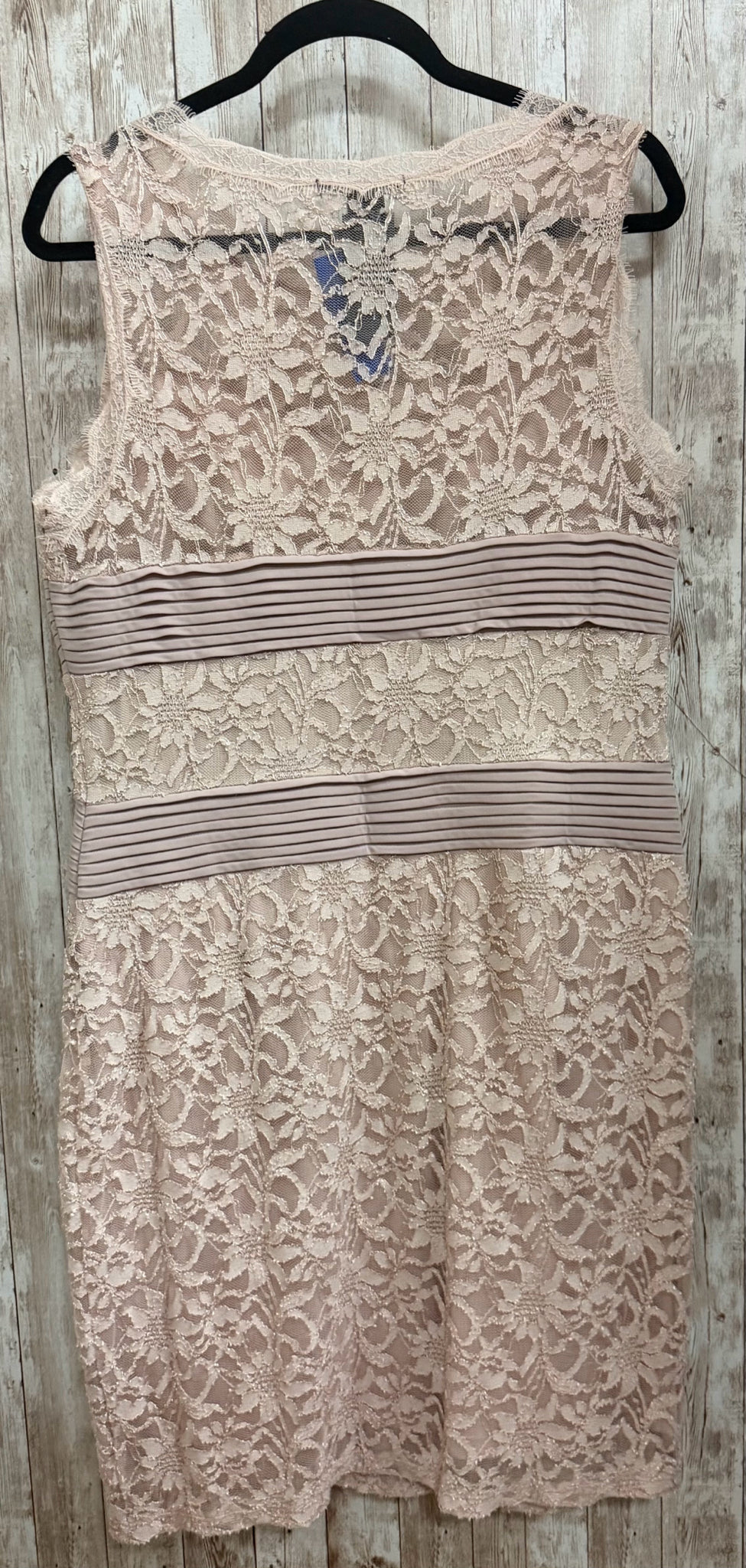 Size XL CANDALITE Blush Dress