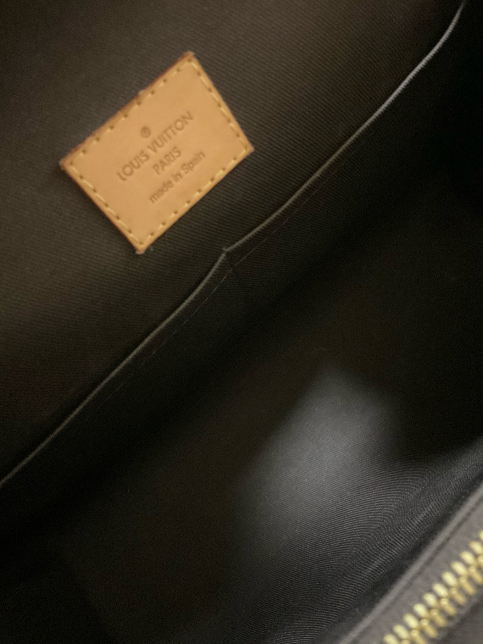 LOUIS VUITTON Purse