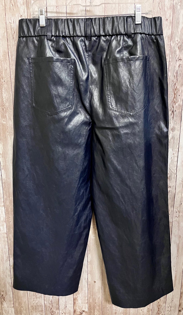 CHICO'S Size 14 NAVY LEATHER Pants