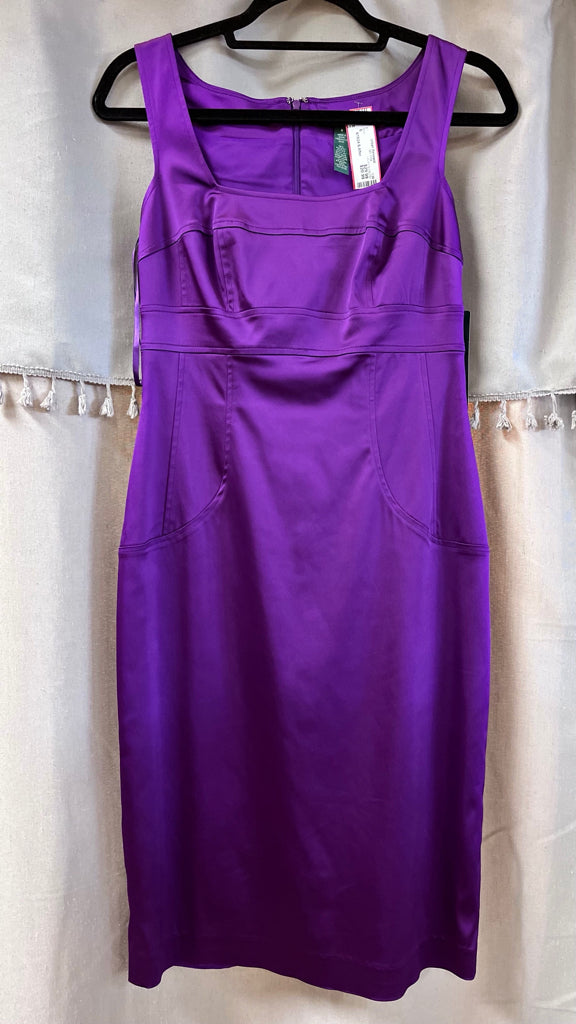Size 6 LAUREN RALPH LAUREN Purple Dress